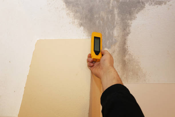 Best Mold Removal for HVAC Installations  in Oconto, WI